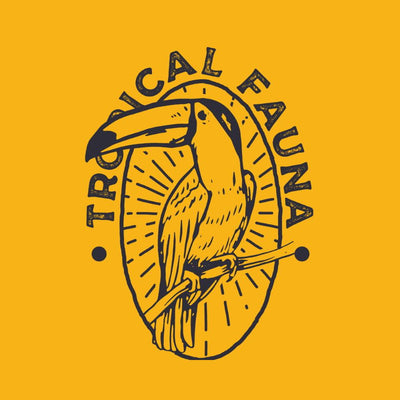 toucano toucan tropical